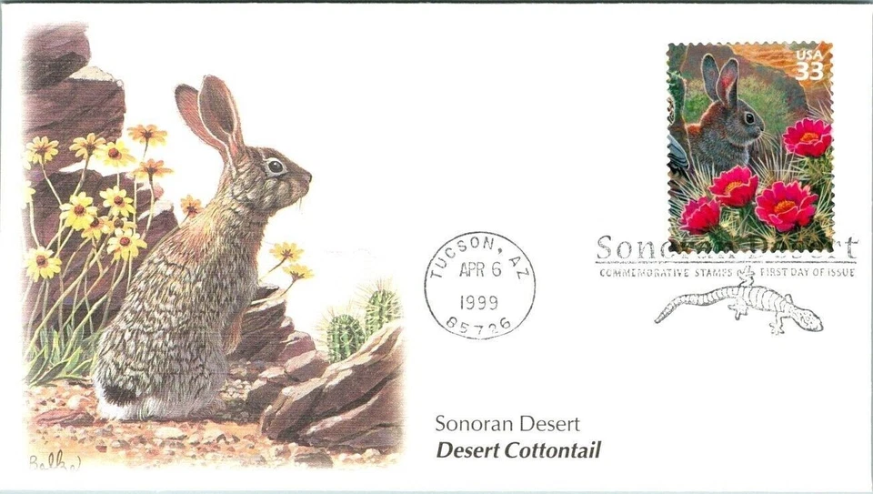 CACTUS DESERT COTTONTAIL RABBIT SONORAN DESERT TUCSON 1999 FLEETWOOD CACHET FDC - Image 1 of 1