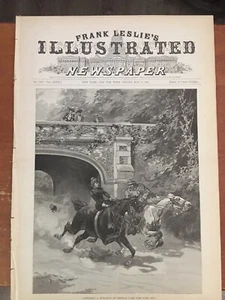 NYPD Rescue Runaway Horse 1891 President Harrison in Tennessee-Ellis Island - Bild 1 von 9