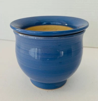 Maceta de riego automático violeta africano azul Foto 1 de 4