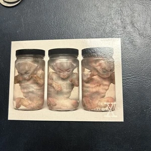 11d The X-Files Season One 1995 Topps #63 Alien Fetus - Picture 1 of 2