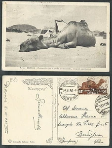 CARTOLINA ERITREA CAMMELLO - C - Picture 1 of 1