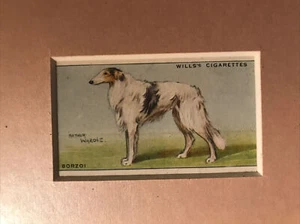 Matted Borzoi 1937 SERIES OF DOGS WILLS CIGARETTE CARD - Picture 1 of 3