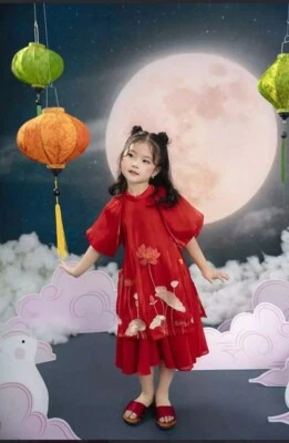 Ao Dai Vietnam- Ao Dai para niñas con flores de loto bordadas Foto 1 de 4