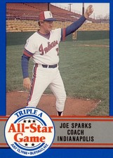 1988 Triple A All-Stars ProCards #50 Joe Sparks