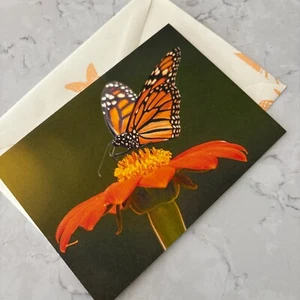 Tarjeta en blanco Monarch Butterfly naranja con sobre a juego - Imagen 1 de 5
