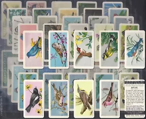BROOKE BOND (TEA)-FULL SET- (CANADA) SONGBIRDS NORTH AMERICA (RED ROSE/BLUE RIB) - Picture 1 of 1