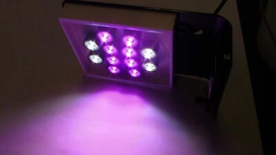 WSR Refugium light CHAETO 12 Refug LED Light