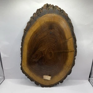 Vintage Lacquered Live Edge Tree Wood Wall Slice Hanging Decor Plaque C All Pics - Picture 1 of 9