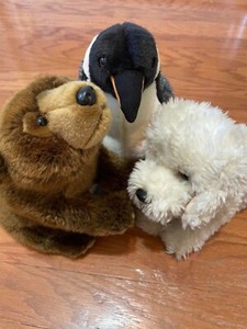 Webkinz Signature Lot (No Codes): Endangered Brown Bear, Labradoodle, Penguin