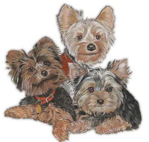 Yorkshire Terrier Yorkie Magnet Wooden - Picture 1 of 1
