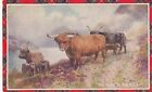Postkarte Der Weg zu den Inseln Highland Rinder Schottische Studien Meine Ref SO