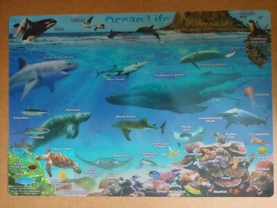School Supplies: "Ocean Life" Poly Poster/ Placemat" Washable ~ Sea Life & Coral - Image 1 of 4