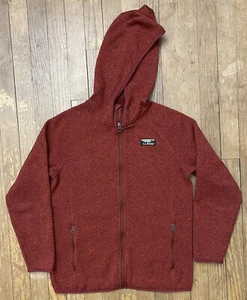 LL Bean Sweater Full Zip Hoodie Box Logo Kids Youth Size Large 14-16 - Picture 1 of 4