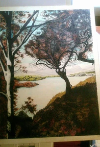Pluma y tinta de colección con dibujo a color Lake George firmado WG William Guillan 1868-1953 - Imagen 1 de 4