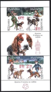 Spesial come nuovo S/S Il cane aiuta l'uomo 2024 dalla Bulgaria avdpz - Foto 1 di 1
