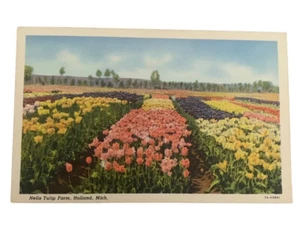 Nelis Tulpenfarm, Holland, Michigan kostenloser Versand A28 - Bild 1 von 2