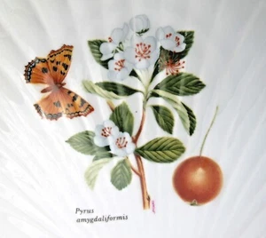 Lourioux Porcelain Scallop Cooking Dish, Pear Tree FREE SHIP! - Picture 1 of 7