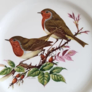 Coalport Teller ROBIN REDBREAST Ltd to 2000 Gold Rim Bone China British Birds - Bild 1 von 7