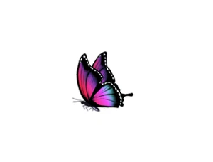 Pink Butterfly (T34g) Side View Butterfly Vinyl Decal Sticker | Waterproof - Picture 1 of 2