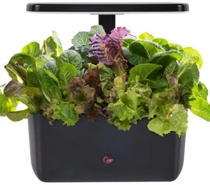 Aerogarden Harvest 2.0, Sistema Hidropónico Jardín Interior con Luz LED de Crecimiento, Hol - Imagen 1 de 9