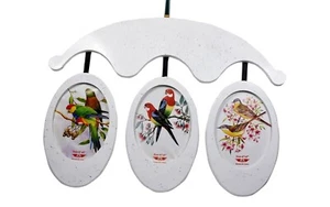 Woodpecker Triplet Photo Frames for Wall Decoration – Set of 3 Picture 6x8 inch - Picture 1 of 4