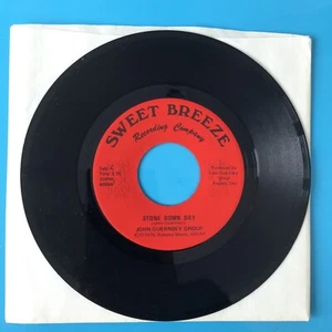 JOHN GUERNSEY GROUP (REEKERS): Stone Down Day / Open Up The Door 7” 45 MINT WHFS - Picture 1 of 2