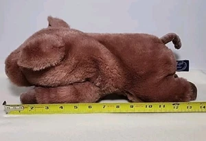 Gund Collector's Classics Limited Edition Plush Brown Pig 1984 Vintage REALISTIC - Picture 1 of 10