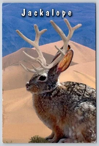 Postcard Wild Western Jackalope Antelabbit Mythical Creatures Sand Dunes - Picture 1 of 2