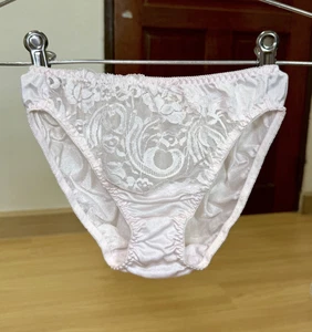 Vintage Silky Pale Pink Nylon Panty Sheer Floral Lace Bikini Hi Cut Brief Sz.6/M - Picture 1 of 20