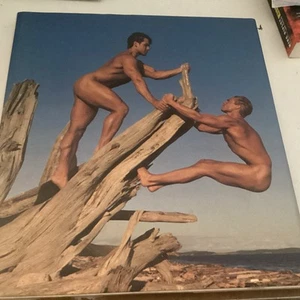 Bob & Rod: Tom Bianchi, St. Martin's Press: A Stonewall Inn Studiobuch, 1. Auflage - Bild 1 von 3