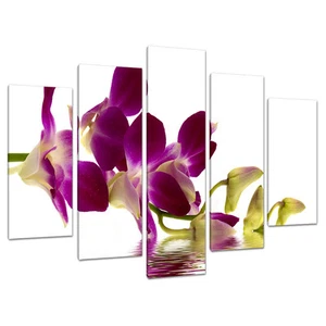 Set of Five Purple Plum Canvases Art Prints Large Wall Pictures 5021 - Picture 1 of 1