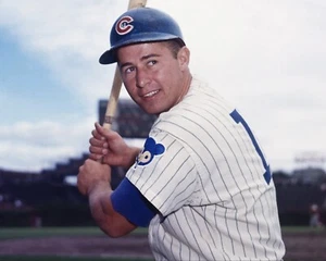 Ron Santo Posing Chicago Cubs 8x10 MLB Vintage Baseball Photo - Picture 1 of 1