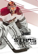 2010-11 Upper Deck Victory Stars of the Game #SOGIB Ilya Bryzgalov