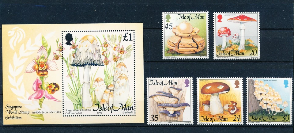 LS64277 Isle of Man plants flora nature mushrooms fine lot MNH - Image 1 of 1