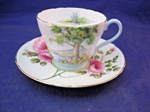 SHELLEY TEA CUP (WOODLAND) & SAUCER (RAMBLE ROSE) MIS-MATCHED LOOK GOOD TOGETHER - Picture 1 of 11