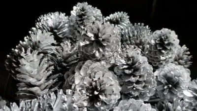 Silver painted pine cones 2.5"-3" tall one dozen, silver pine cones  Foto 1 de 2