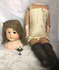 Antique German Bisque Doll by Heubach, Koppelsdorf Shoulder Head /Cloth Body