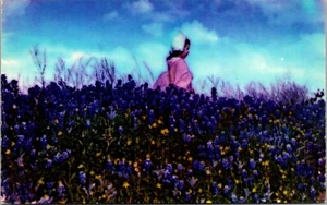 Vintage blaue Hauben von Texas TX Staat Blume Chrom Landschaft Ansicht Postkarte - Bild 1 von 2