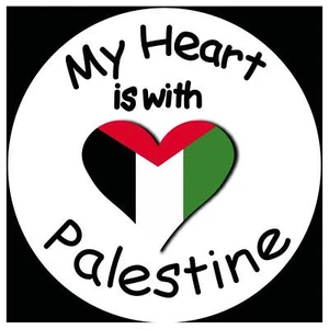 Palestine Will Be Free Car Protest Sticker Car Laptop Window Decal Label Sticker - Picture 1 of 21