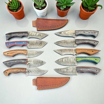 Hunting Knives | Lot of 10 | Damascus Steel | Premium Pakka Wood Handle | D968 - Image 1 of 4