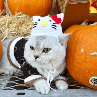 Hello Kitty猫和小狗钩针帽/针织猫帽 — 第 1/4 张图片