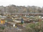 Photo 6X4 Allotments Near Joppa Joppa/Nt3173 One Of Many Small Patches O C2009