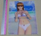 Dead or Alive Xtreme PVC Art Sheet Clear File Kasumi