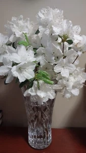 5+2gratis White Bloom CRAPE MYRTLE seltene Blüte frisch unbewurzelt Steckling - Bild 1 von 4