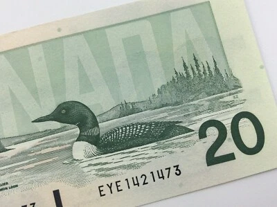 Billete Dodge de 20 dólares de Canadá 1991 veinte dólares sin circular Eye Knight V223 Foto 1 de 4