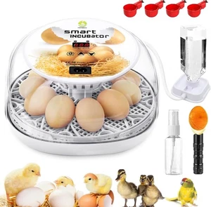 Egg Incubator with Automatic Egg Turning and Humidity Control - 12/24 Eggs, 360° - Picture 1 of 8