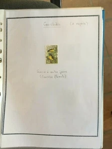Briefmarken Thema Vögel - Passeriformen n* Mh oder obl - 24 Marken (LEO1) - Bild 1 von 7
