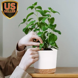 5 Inch Plant Pot, 2 Pack Planters for Indoor Plants with Drainage Holes & Sau... - Picture 1 of 6
