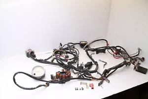 Polaris XPLORER 400 1999 ATV OEM cableado arnés bobina CDI estator velocímetro - Imagen 1 de 18