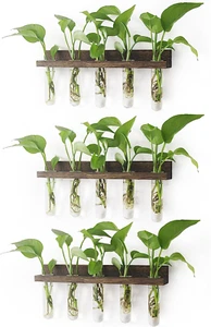 Plant Propagation Station Tubes, 3 Tiered Wall Hanging Mini Glass Test Tubes - Picture 1 of 11
